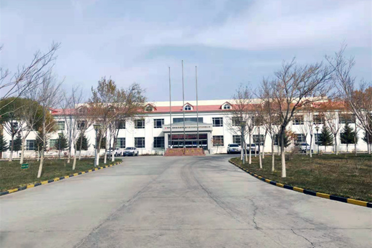 新疆國電
